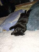 /album/20-10-2025/afbeelding-van-whatsapp-op-2025-10-19-om-21-10-09-e5e328e6-jpg/